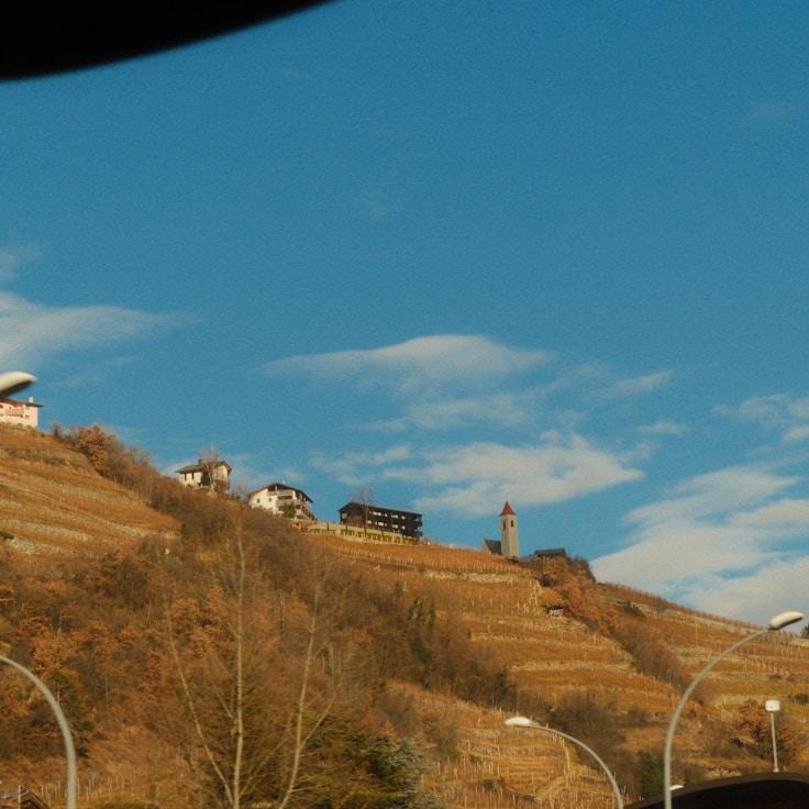 Family terraces and cafés for calm evenings in Springfield